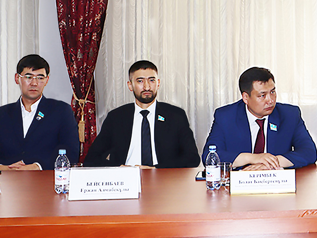 Народные избранники