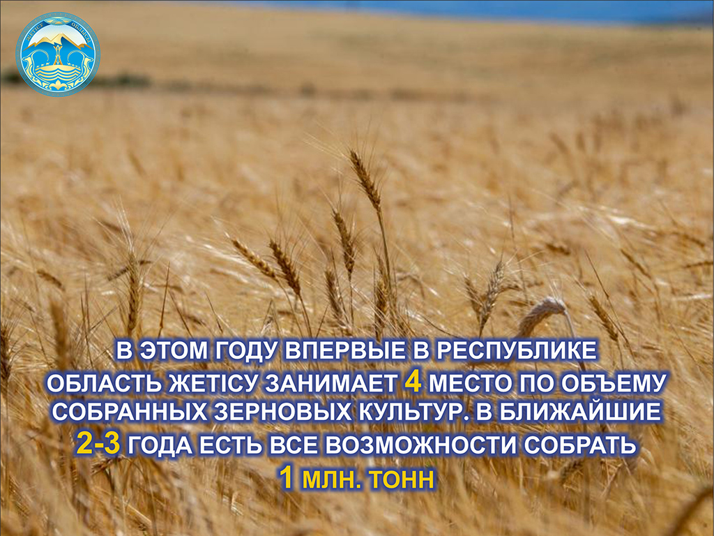 Область Жетісу заняла 4 место по объему собранных зерновых культур