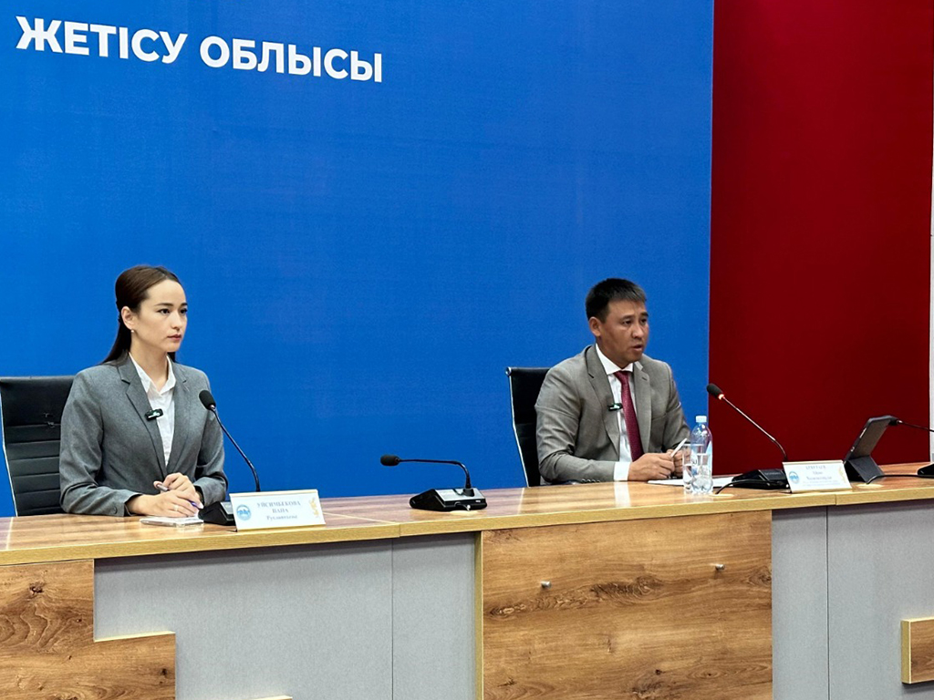 В области Жетісу 87,2% распределительных электрических сетей изношены