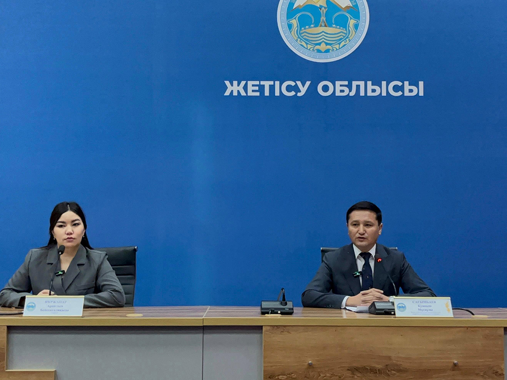 В области Жетісу выявлено 1,4 млрд тенге финансовых нарушений