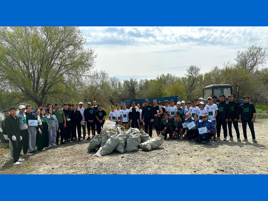 В рамках программы