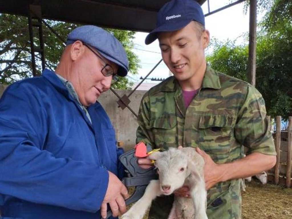 Области Жетісу 3 года: число современных ветпунктов выросло с 5 до 50