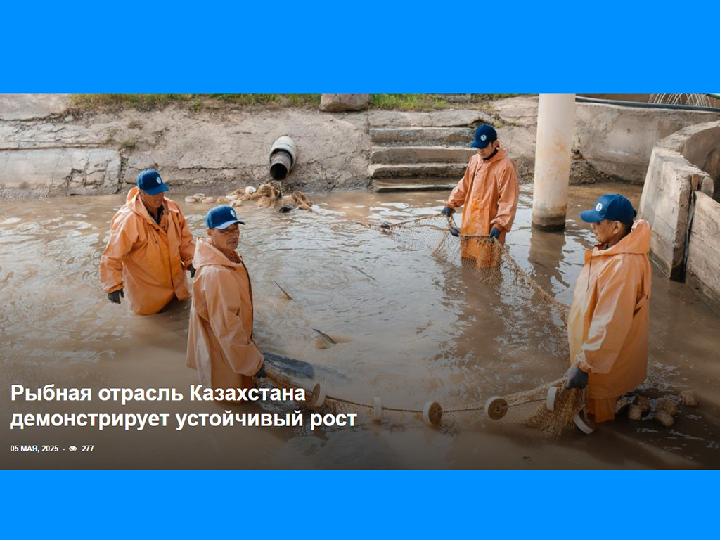 Рыбная отрасль Казахстана демонстрирует устойчивый рост