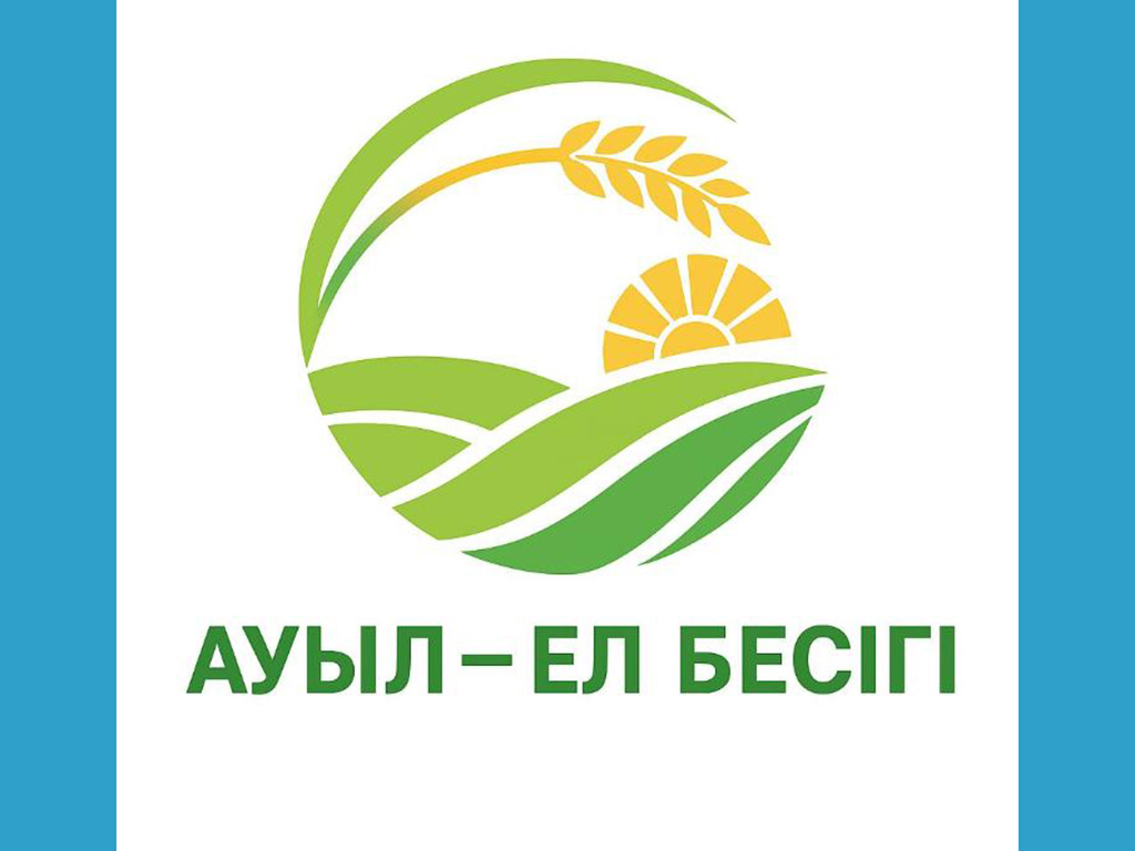 В 2025 году в селах Казахстана реализуют тысячу новых проектов на сумму 176,4 млрд тенге