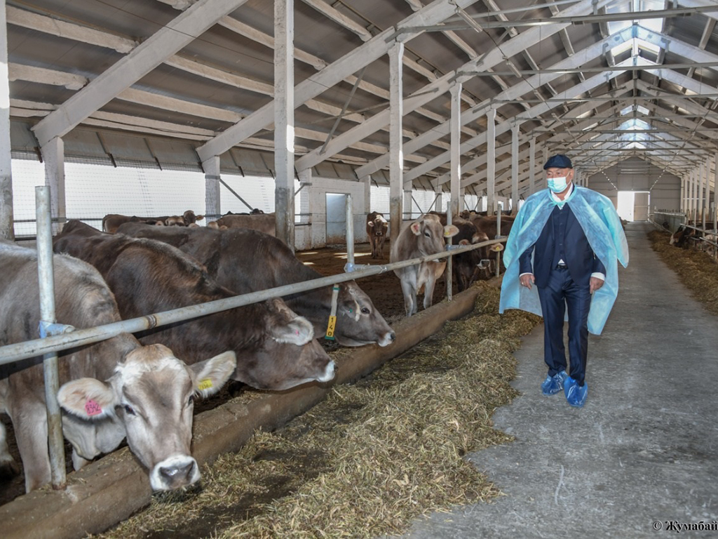 Жазиралы Жаркент өңірінде өндіріс дамып, өнім молайып келеді