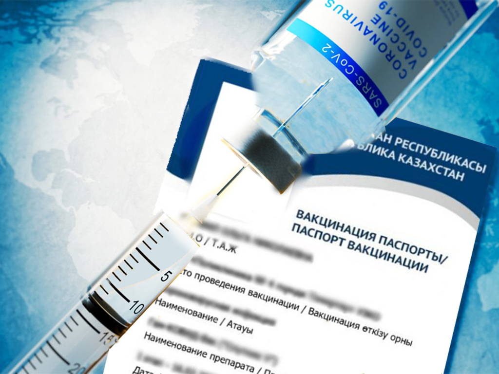 Vaccination - contribution to collective immunity