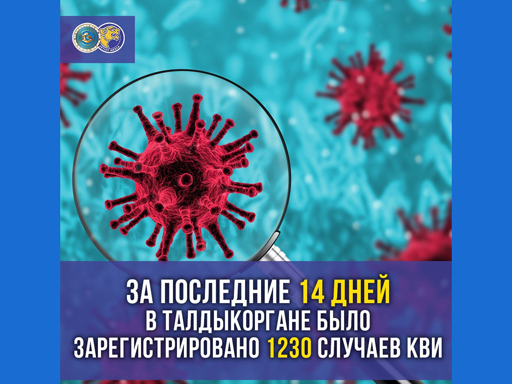 За последние 14 дней в Талдыкоргане было зарегистрировано 1230 случаев КВИ