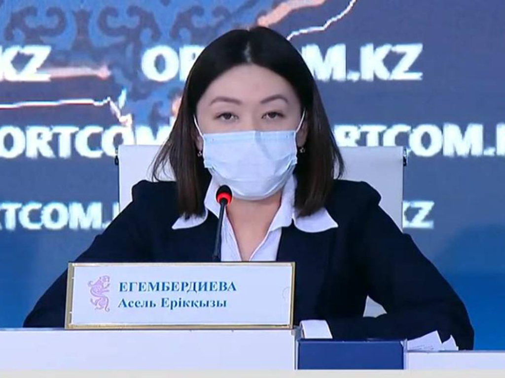 A pilot project of the export strategy of the Almaty region has been developed