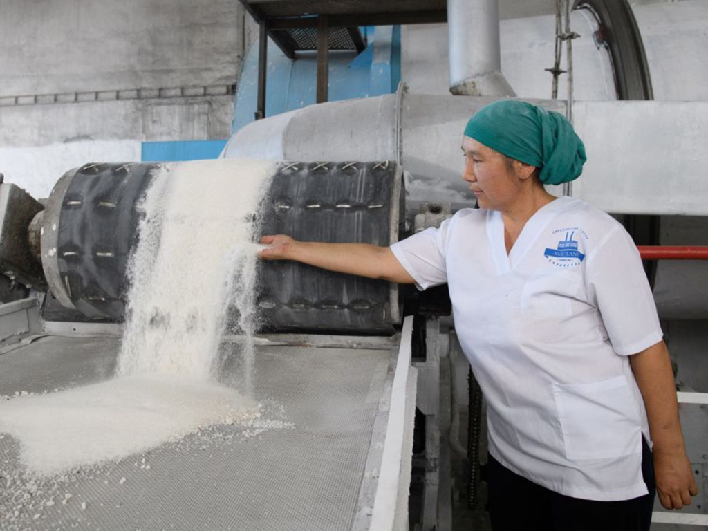 Аксуский сахарный завод начал подготовку к новому сезону