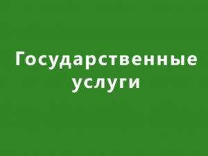 Государственные услуги