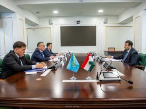 Область Жетісу расширяет сотрудничество с Таджикистаном