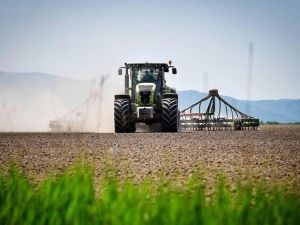 Впервые программа диверсификации посевных площадей охватит порядка 1 млн га