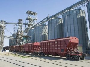 Экспорт зерна нового урожая достиг 7,6 млн тонн: рост на 58%