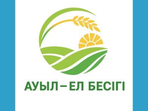 В 2025 году в селах Казахстана реализуют тысячу новых проектов на сумму 176,4 млрд тенге