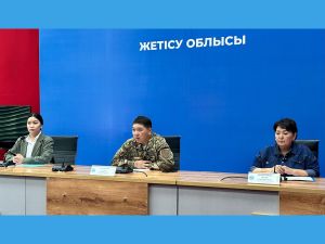 Для эффективного реагирования в пожароопасный период в Жетісу выделено 484 миллиона тенге