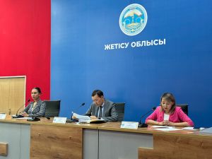 Таможенный контроль в области Жетісу усиливается: за 5 месяцев проведена 91 проверка