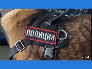 «Карасора-2025»: в Жетісу проверили почтовые отправления на наркотики
