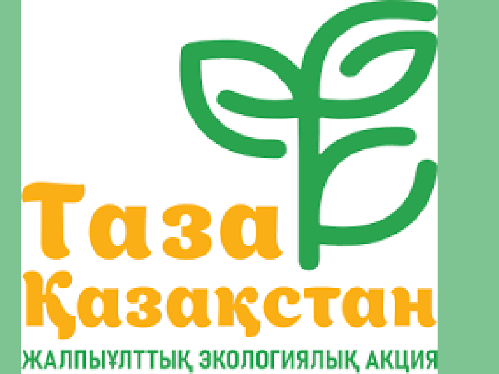 Чистый город – дело молодых