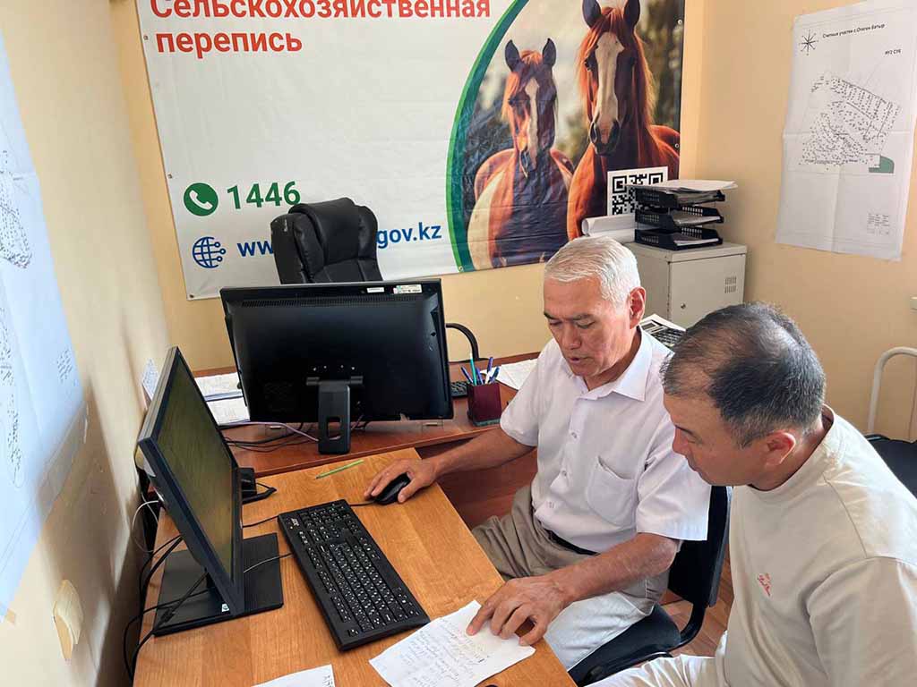 390 тыс. респондентов прошли онлайн-этап переписи