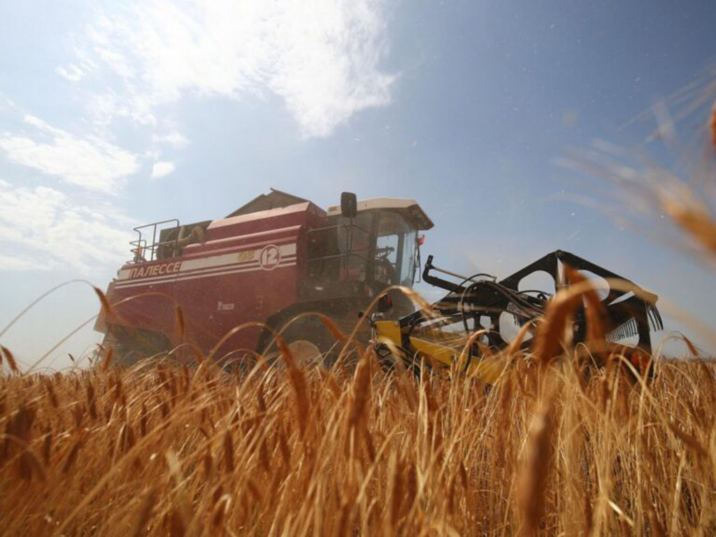Объем валовой продукции сельского хозяйства увеличился на 3,4% и достиг 3,6 трлн тенге