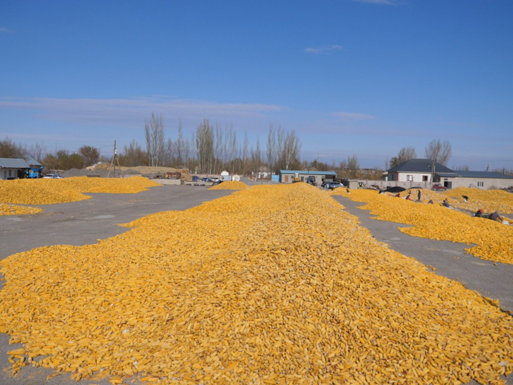 8,200 people are engaged in small and medium-sized businesses in the Uyghur region