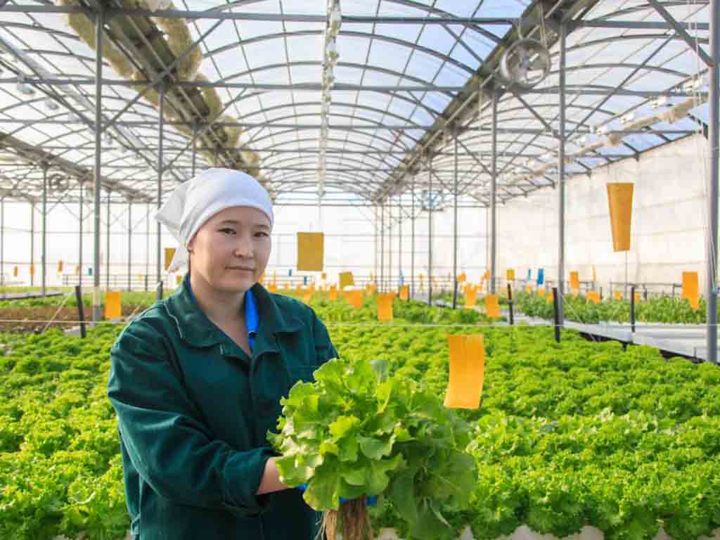 В области Жетісу объем продукции, произведенной субъектами малого и среднего бизнеса, увеличился на 15,2%