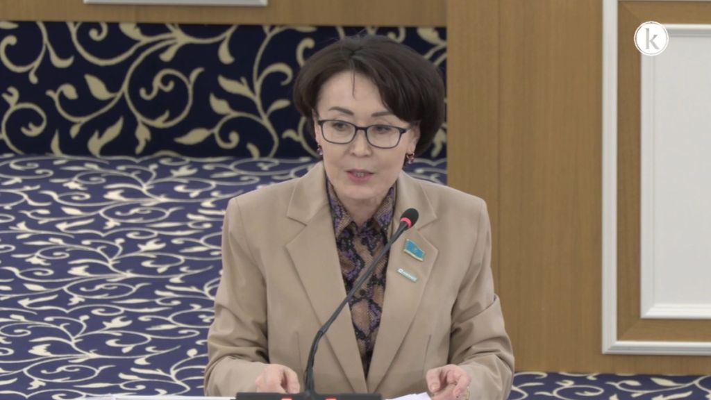 Унзила Шапак: определение соотношения Конституции и международного права укрепляет основу всей правовой системы страны