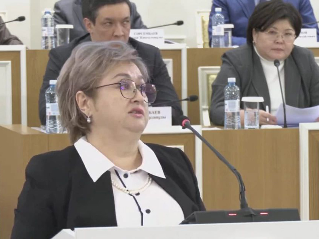 Директор Института законодательства Индира Аубакирова: разграничение прав человека и гражданина важно для каждого