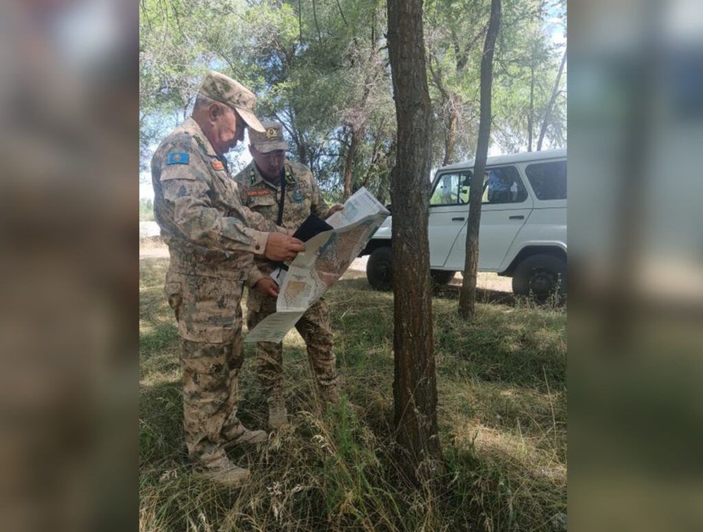 «Таза Қазақстан»: Итоги работы по восстановлению и защите лесов в Жетісу