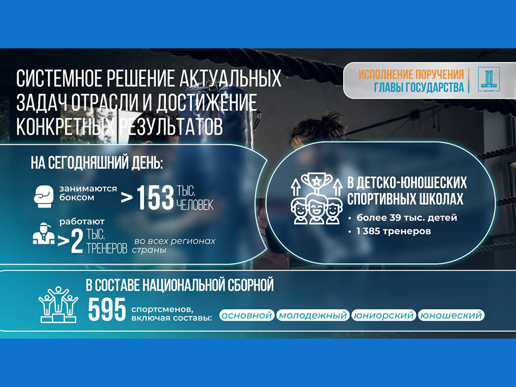 Правительство утвердило Концепцию развития бокса на 2026–2030 годы