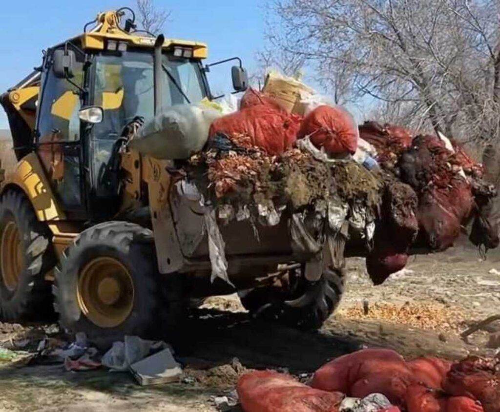 Борьбу со стихийными свалками усиливают в Жетісу