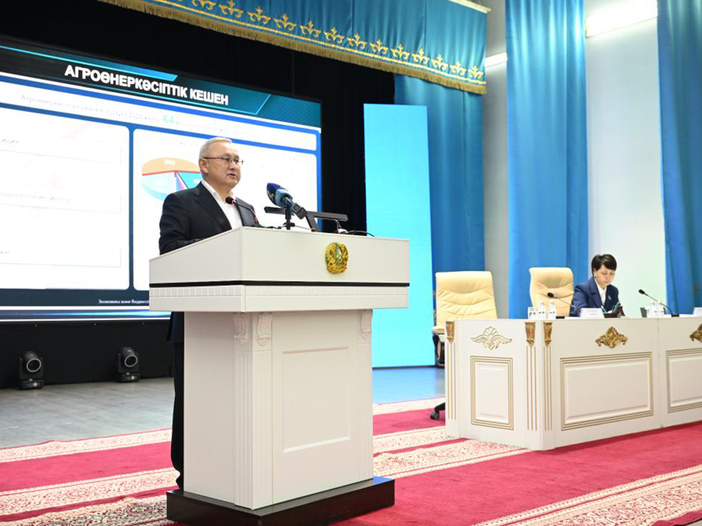 Бейбит Исабаев: на побережье озера Балхаш построят три коммунальных пляжа