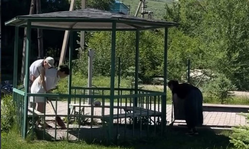 Чистота начинается с нас
