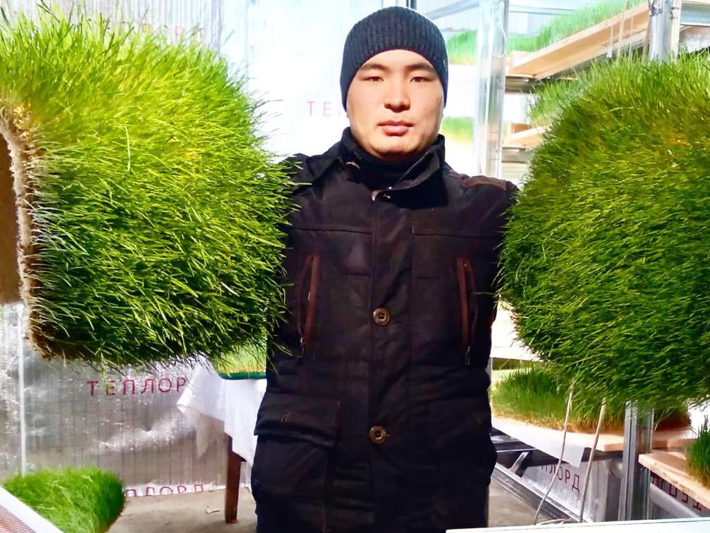 Зеленые корма по инновационной технологии выращивает молодой предприниматель из Алматинской области