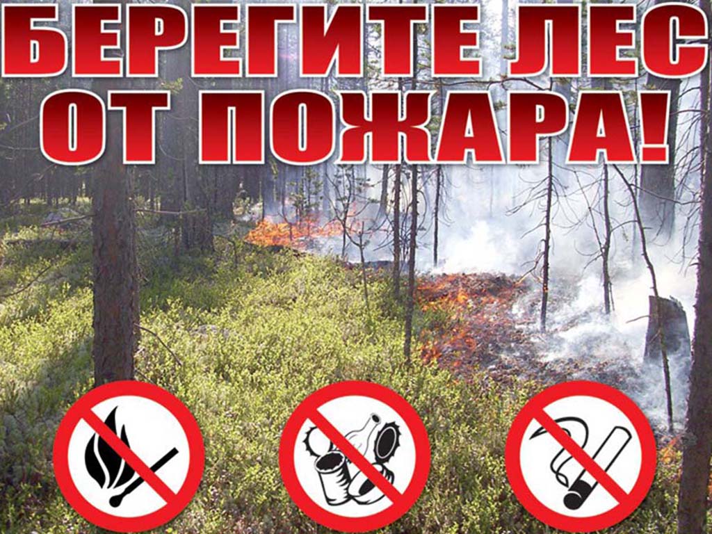 Пожароопасный период в лесах