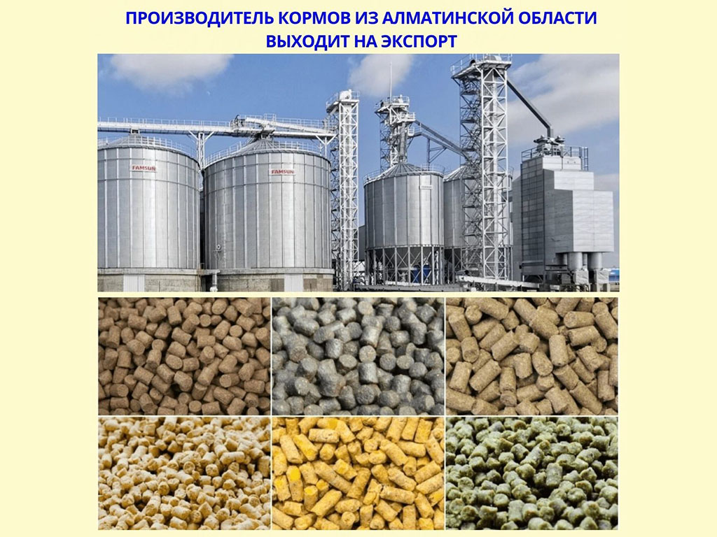 Производитель кормов из Алматинской области выходит на экспорт