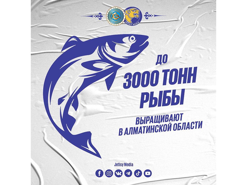 До 3000 тонн рыбы выращивают в Алматинской области